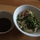 ネギたっぷり温玉のせ釜揚げうどん